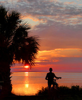 Scenics